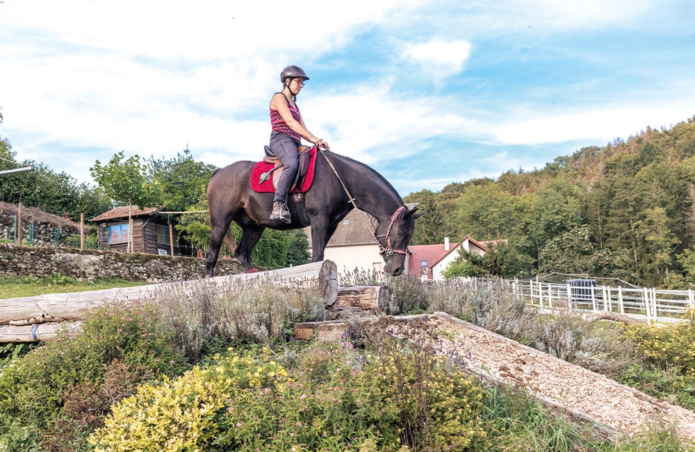 Reitstall-zur-Schaeferei-Jenny_Weidert-Dal-Pferdepension-Pferdestall-Trier-Ralingen-Rheinland-Pfalz-Extreme-Trail-5-min Reitstall-zur-Schaeferei-Jenny_Weidert-Dal-Pferdepension-Pferdestall-Trier-Ralingen-Rheinland-Pfalz-Extreme-Trail-5-min