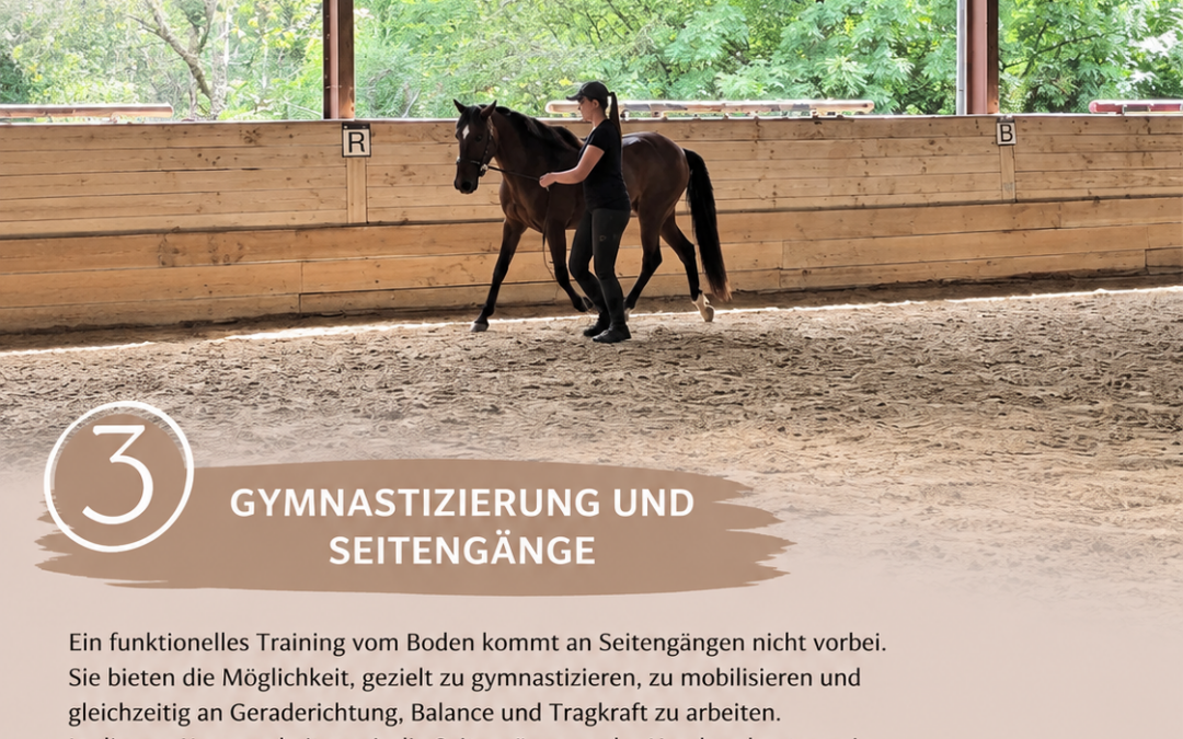 16.+17. Januar 2027 Funktionelles Training vom Boden –  Teil 3 Gymnastizierung und Seitengänge
