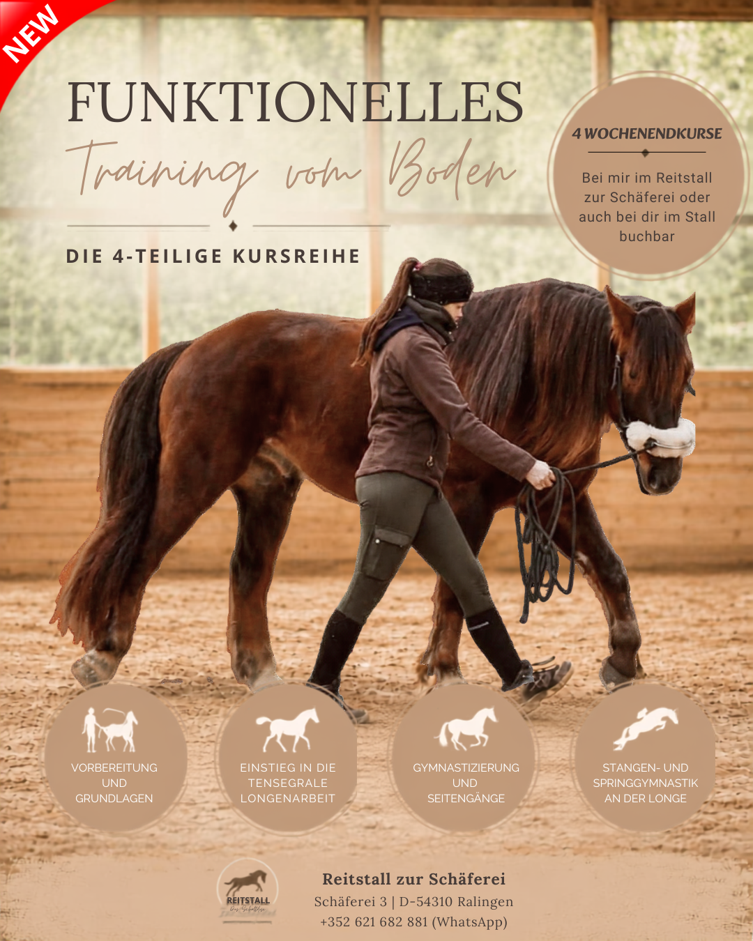 Reitstall-zur-Schäferei-Jenny-Weidert-Dal-Ralingen-Trier-Saarburg-Rheinland-Pfalz-Luxemburg-Tensegrales-Training-Pferdetraining